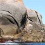 Whale Motor Inn
