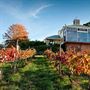 Hahndorf Hill Winery