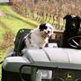 Hahndorf Hill Winery