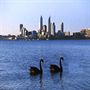 Swan River Perth City Attractions
