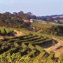 Seven Hills Cellar