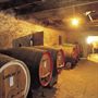 Seven Hills Cellar