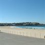 Bondi Beach
