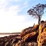 Freycinet National Park
