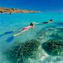 Ningaloo Reef Coral Bay Attractions
