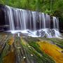 Brisbane Water National Park Koolewong Attractions