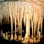 Wombeyan Caves