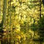 Morton National Park