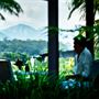 Lily Pily Country House Bellingen Accommodation