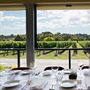 Veraison @ Bluestone Lane
