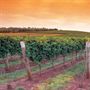 Jansz Tasmania