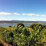 Jansz Tasmania