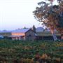 Highbank Wines
