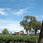 Highbank Wines