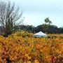 Highbank Wines