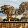 Highbank Wines