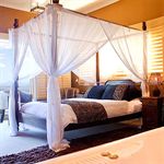 Avocado Sunset Bed & Breakfast Mt Tamborine 