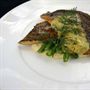 Aquarius Seafood Restaurant