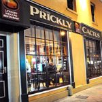 The Prickly Cactus
