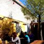 Vegie Bar