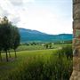 The Buckland - Studio Retreat