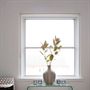 Bondi Beach Holiday Apartments