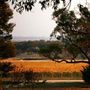Kyneton Ridge Estate