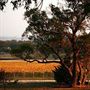 Kyneton Ridge Estate Kyneton Wineries