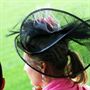 Melbourne Cup at Flemington Raceway Flemington Attractions