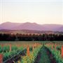 Yarra Valley Yarra Glen Attractions