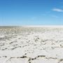Lake Eyre Lake Eyre National Park Attractions