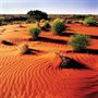 Simpson Desert Oodnadatta Attractions
