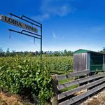 Loira Vines Beaconsfield