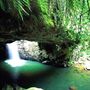Springbrook National Park Springbrook