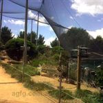 Canberra Walk In Aviary