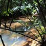 Daintree Crocodylus Village Cape Tribulation Restaurants