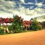 RiverBank Estate