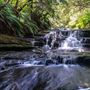 Bushwalking