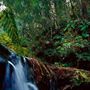 Bushwalking Katoomba Attractions