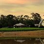 Balgownie Estate