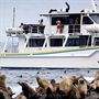 Wildlife Coast Cruises