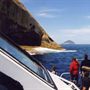 Wildlife Coast Cruises
