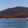 Wildlife Coast Cruises