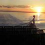 Wildlife Coast Cruises