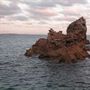 Wildlife Coast Cruises