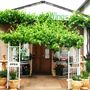 Robinvale Organic & Biodynamic Wines Robinvale Wineries