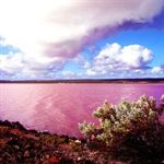 Pink Lake