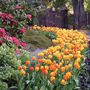 Royal Tasmanian Botanical Gardens Hobart City Attractions