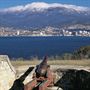 Mt Wellington