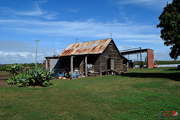 AGFG Road Trip: 3 Days at Bundaberg's Winterfeast 12